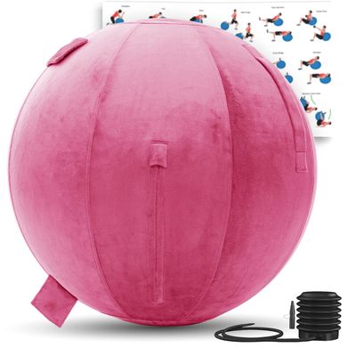 Exercise Ball 65cm/26in, Maroon Mirco Plush Soft Cover with Manaul Pump For Yoga, Pilates, Fitness Balance Stability, Office Ball Chair Seat. Soft & Slip Resistant, Pro Guide