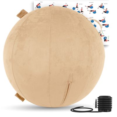 Husband Pillow Exercise Ball 65cm/26in, Cowboy Taupe Microsuede Leather Cover with Manaul Pump for Yoga, Pilates, Fitness Balance Stability, Office Ball Chair Seat. Soft & Slip Resistant, Pro Guide