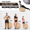 Husband Pillow Exercise Ball 65cm/26in, Cowboy Taupe Microsuede Leather Cover with Manaul Pump for Yoga, Pilates, Fitness Balance Stability, Office Ball Chair Seat. Soft & Slip Resistant, Pro Guide view 2