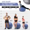 Exercise Ball 65cm/26in, Dark Grey Mirco Plush Soft Cover with Manaul Pump For Yoga, Pilates, Fitness Balance Stability, Office Ball Chair Seat. Soft & Slip Resistant, Pro Guide view 2