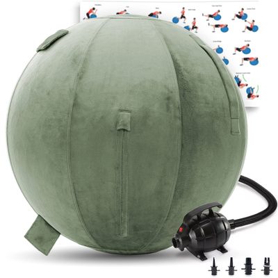 Exercise Ball 65cm/26in, Purple Mirco Plush Soft Cover with Electric Quick Pump For Yoga, Pilates, Fitness Balance Stability, Office Ball Chair Seat. Soft & Slip Resistant, Pro Guide