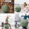 Exercise Ball 65cm/26in, Purple Mirco Plush Soft Cover with Electric Quick Pump For Yoga, Pilates, Fitness Balance Stability, Office Ball Chair Seat. Soft & Slip Resistant, Pro Guide view 4