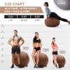 Exercise Ball 65cm/26in, Chocolate Mirco Plush Soft Cover with Manaul Pump For Yoga, Pilates, Fitness Balance Stability, Office Ball Chair Seat. Soft & Slip Resistant, Pro Guide view 2