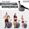 Husband Pillow Exercise Ball Case Cover Only - 65cm/26in, Dark Grey Mirco Plush Soft Cover for Yoga, Pilates, Fitness Balance Stability, Office Ball Chair Seat. Soft & Slip Resistant, Pro Guide view 2