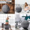 Husband Pillow Exercise Ball Case Cover Only - 65cm/26in, Dark Grey Mirco Plush Soft Cover for Yoga, Pilates, Fitness Balance Stability, Office Ball Chair Seat. Soft & Slip Resistant, Pro Guide view 4