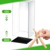 Mudder Baseball Display Case and Wood Stand Acrylic Baseball Holder Acrylic Box with Grass Pad for Ball Display Mini Wooden Bat Showcase Holders for Memorabilia Autograph Ball(2 Packs) view 4