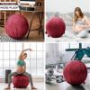 Husband Pillow Exercise Ball Case Cover Only - 85cm/40in, Maroon Mirco Plush Soft Cover for Yoga, Pilates, Fitness Balance Stability, Office Ball Chair Seat. Soft & Slip Resistant, Pro Guide view 4