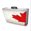PARTYPONG 8-Foot Folding Beer Pong Table w/Cup Holes & LED Lights - Oh Canada Edition view 2