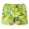 Gymboree,and Toddler Swim Trunks,Lime Dino,12 view 1