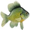 10"L Sunfish view 1