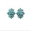 Faship Gorgeous Teal Rhinestone Crystal Clip On Earrings - Teal view 1