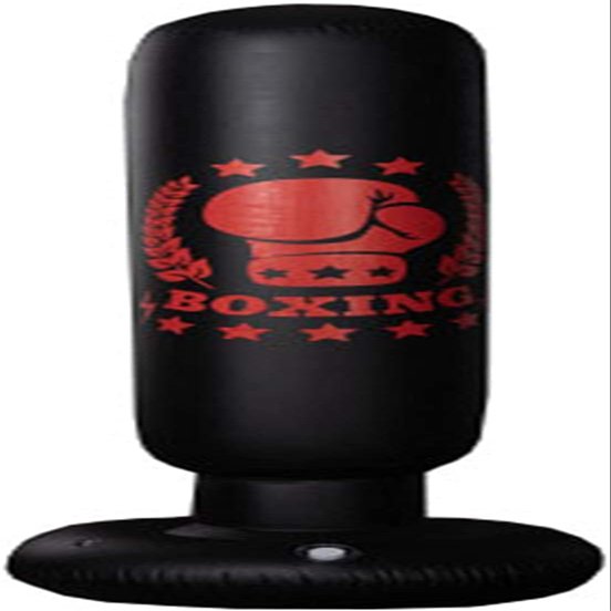 Punching Bag, Reflex Bag Boxing for Adults Kids, Standing Punch Bag Inflatable Free Standing Fitness Punching Bag Stand Tower Bag Tumbler Column Sandbag Training Bag for Kids Pedestal Boxing Bags for