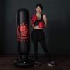 Punching Bag, Reflex Bag Boxing for Adults Kids, Standing Punch Bag Inflatable Free Standing Fitness Punching Bag Stand Tower Bag Tumbler Column Sandbag Training Bag for Kids Pedestal Boxing Bags for view 2