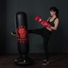 Punching Bag, Reflex Bag Boxing for Adults Kids, Standing Punch Bag Inflatable Free Standing Fitness Punching Bag Stand Tower Bag Tumbler Column Sandbag Training Bag for Kids Pedestal Boxing Bags for view 3