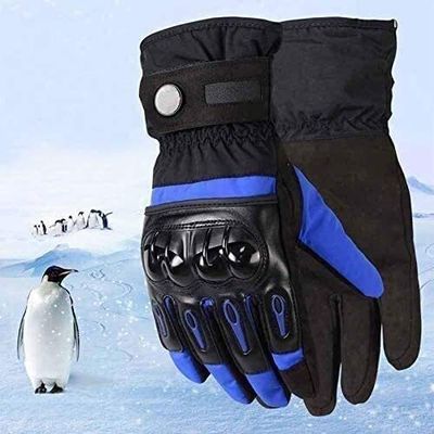 EXCEI Rechargeable 1 Pair Cross-Country Motorcycle Outdoor Multi-Purpose Gloves Windproof Waterproof Heat Resistant Gloves Cold Gear Touch Phone Men Women (Color :