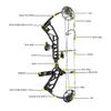 Compound Bow and Arrow Kit with All Accessory,CNC Milling Riser,USA Gordon Composites Limb,BCY String,19"-30" Draw Length,19-70Lbs Draw Weight,IBO 320fps for Hunting & Target (Green) view 3