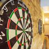 PINPOINT Classic Tour Standard Dartboard - Training Darts Board for Bar Games | Games Room Accessories | Dart Board with Dartboard Surround or Dartboard Stand (Board + Stand) view 4