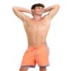 ARENA Men's Icons Team Stripe Beach Short Boxers Swimming Bermuda with Mesh Inner Brief, Back Pocket, Pool Beach Vacation Swimsuit, Quick Dry, Nespola/Royal, Extra Small view 1