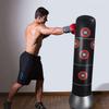 Punching Bag, Reflex Bag Boxing for Adults Kids, Inflatable Punching Bag Free Standing Boxing Target Bag for Kids and Adults Boxing Punching Training Bag for Relieving Pressure view 3