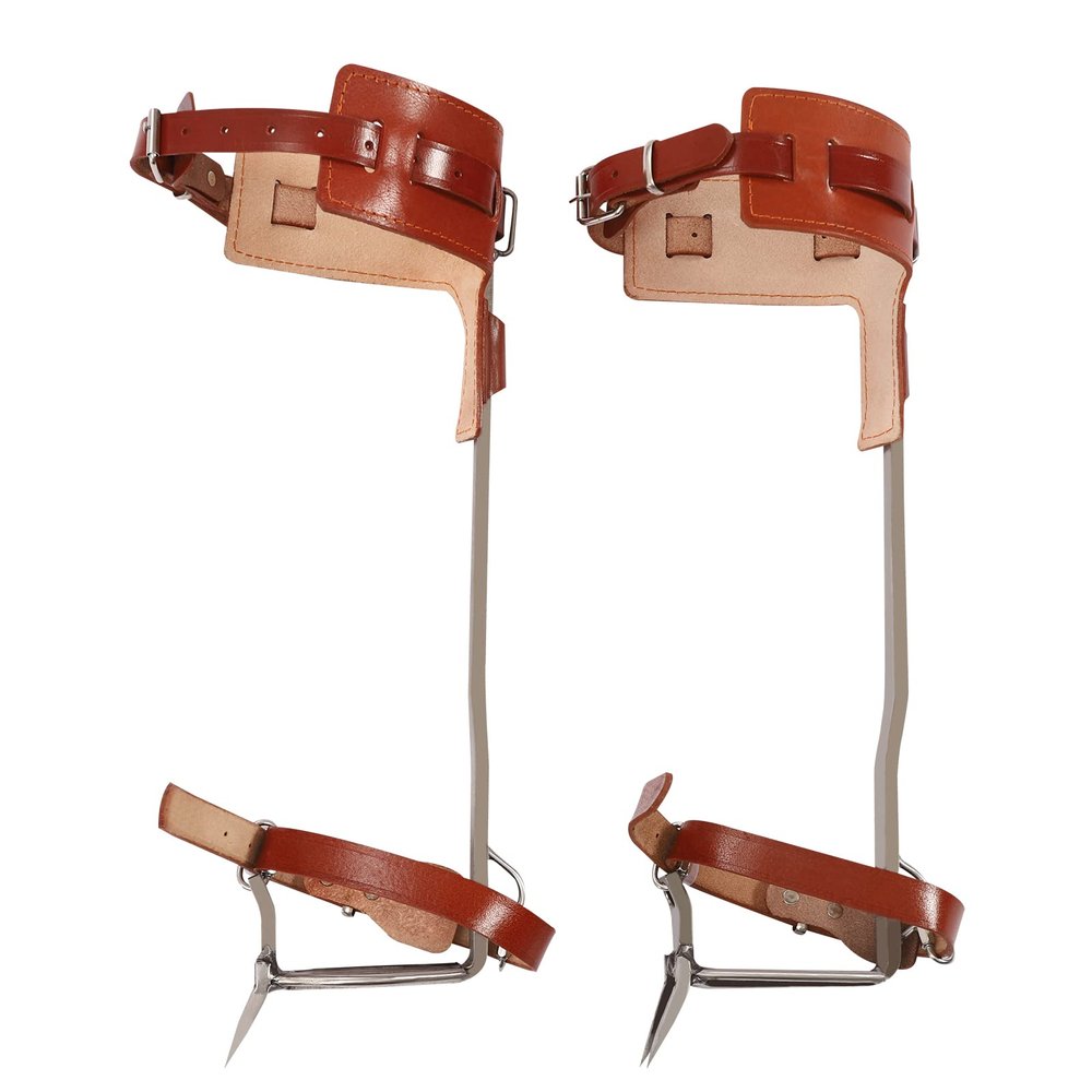 Tree Climbing Gear Set Adjustable Tree Climbing Spikes with Harness Belt Cowhide Leggings Straps Stainless Steel Tree Climbing Tool for Outdoor Jungle Survival Picking Fruit Hunting (Regular)