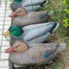 DECHOUS Faux Duck Realistic Duck Decoys for Hunting Portable Outdoor Supply Random Style view 4