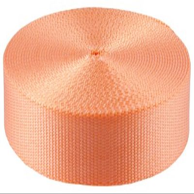 Country Brook Design 3/4 Inch Mango Super Heavy Nylon Webbing Closeout, 10 Yards