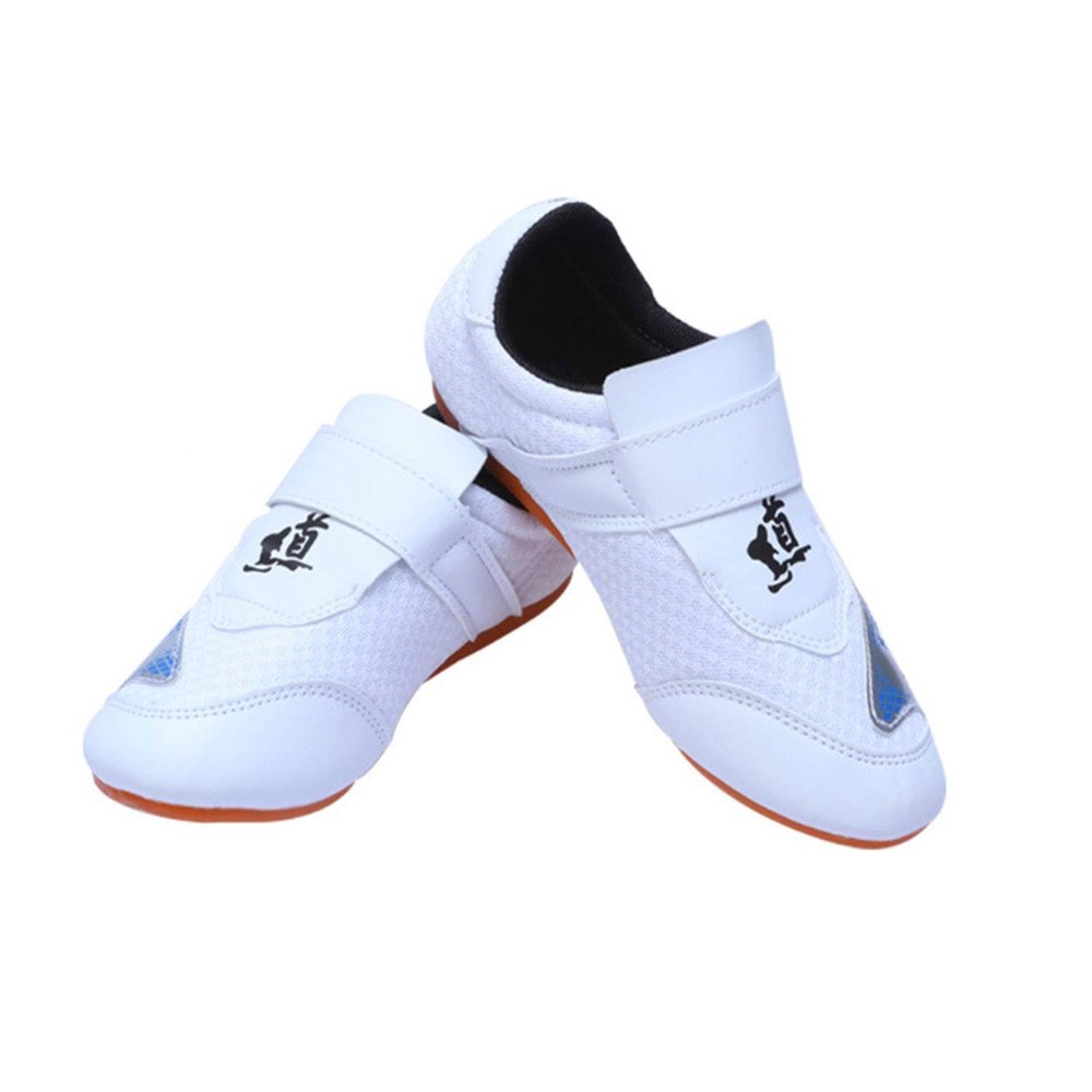 DAFLIN Taekwondo Shoes, Breathable Kung Fu Tai Chi Shoes for Adults and Kids (Color : White, Size : 27 EU)