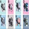 1Pair Winter Snowboard Ski Gloves PU Leather Non-Slip Touch Screen Waterproof Motorcycle Cycling Fleece Warm Snow Gloves (B, Small) view 2