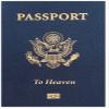 Moments With The Book Passport To Heaven (Gospel Tract - Packet of 100 - NIV) view 1