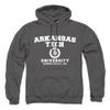 Arkansas Tech University Official Circle Logo Unisex Adult Pull-Over Hoodie, Arkansas Tech University, Charcoal, X-Large view 1