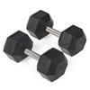 Titan Fitness 45 LB Pair Free Weights, Black Rubber Coated Hex Dumbbell, Straight Stainless Steel Handle, Strength Training, Full Body Workout view 1