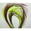 Goose Biots Feathers - 15 Pcs Loose Fly Tying Mixed Colors - 6-9" Millinery view 3