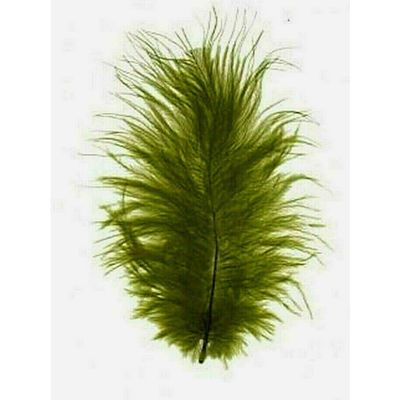 Turkey Marabou Olive Green 2 Bags 1/2 Oz /16 G / = 200 Loose Feathers 1-4"