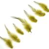 Rooster Saddle Hackle Feathers - Loose - Olive Green - 150 Pcs view 2