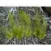Rooster Saddle Hackle Feathers - Loose - Olive Green - 150 Pcs view 3