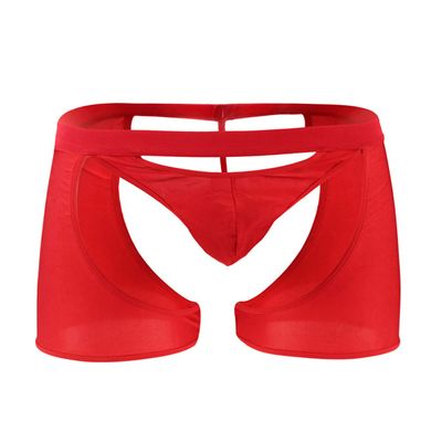 Oludkeph Men's Panties Lingerie Tirm Bulge Pouch Stretchy G-String Bikini Thong Underwear with Garter (Red)