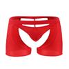 Oludkeph Men's Panties Lingerie Tirm Bulge Pouch Stretchy G-String Bikini Thong Underwear with Garter (Red) view 1