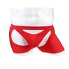 Oludkeph Men's Panties Lingerie Tirm Bulge Pouch Stretchy G-String Bikini Thong Underwear with Garter (Red) view 2