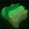 ECYC 5 Yards 4mm Luminous Parachute Cord, Glow in The Dark Paracord Rope One Strand Camping Rope,05 view 2