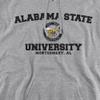 Alabama State University Official Circle Logo Unisex Adult Pull-Over Hoodie, Alabama State University, Athletic Heather, X-Large view 2