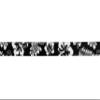 Country Brook Design - Black Hawaiian Photo Quality Polyester (3/4 Inch, 10 Yards) view 2