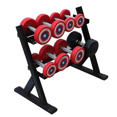 BELUND Dumbbell Rack Stand 2Tier Weight Rack Dumbbell Bench-800 LBS Load-Bearing Heavy Duty Steel Dumbbell Tree for Home Gym, Stand Only