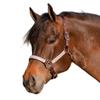 Kensington Premium Breakaway Halter with Padded Nose  Added Breakaway Safety Measures  Snap at Throat for Identical Fit Each Time Size: Large - Color: Brown w/Desert Sand view 1