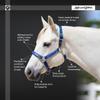 Kensington Premium Breakaway Halter with Padded Nose  Added Breakaway Safety Measures  Snap at Throat for Identical Fit Each Time Size: Large - Color: Brown w/Desert Sand view 4