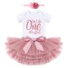 Baby Girls Rainbow 1st Birthday Outfit Romper Tutu Skirt with Diaper Cover Tulle Bloomers Infant Birthday Cake Smash Newborn Photography Props 1st Birthday Girl Gifts One Blush +Headband 1Y view 2
