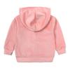 ZFTTZYMX Unisex Kids Velvet Tracksuit Jogger Set Solid Velour Long Sleeve Zipper Hoody Tops + Sweatpants Outfits 2PCS view 2