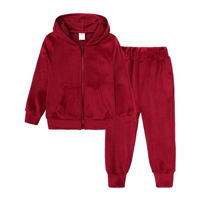 ZFTTZYMX Unisex Kids Velvet Tracksuit Jogger Set Solid Velour Long Sleeve Zipper Hoody Tops + Sweatpants Outfits 2PCS