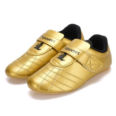DAFLIN Unisex Taekwondo Shoes, Martial Arts Sports Shoes Sports Karate Martial Arts Taichi Shoes Lightweight Shoes for Kids Women Men Adult (Color : Gold, Size : 35 EU)