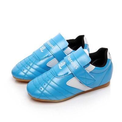 DAFLIN Taekwondo Sport Gym Shoes, Unisex Boxing Karate Kung Fu Tai Chi Trainning Shoes for Children Adults (Color : Blue, Size : 36 EU)
