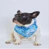 Matchable Family Hawaiian Luau Shirts, Simply Blue Leaves, Dog, Size Large view 3